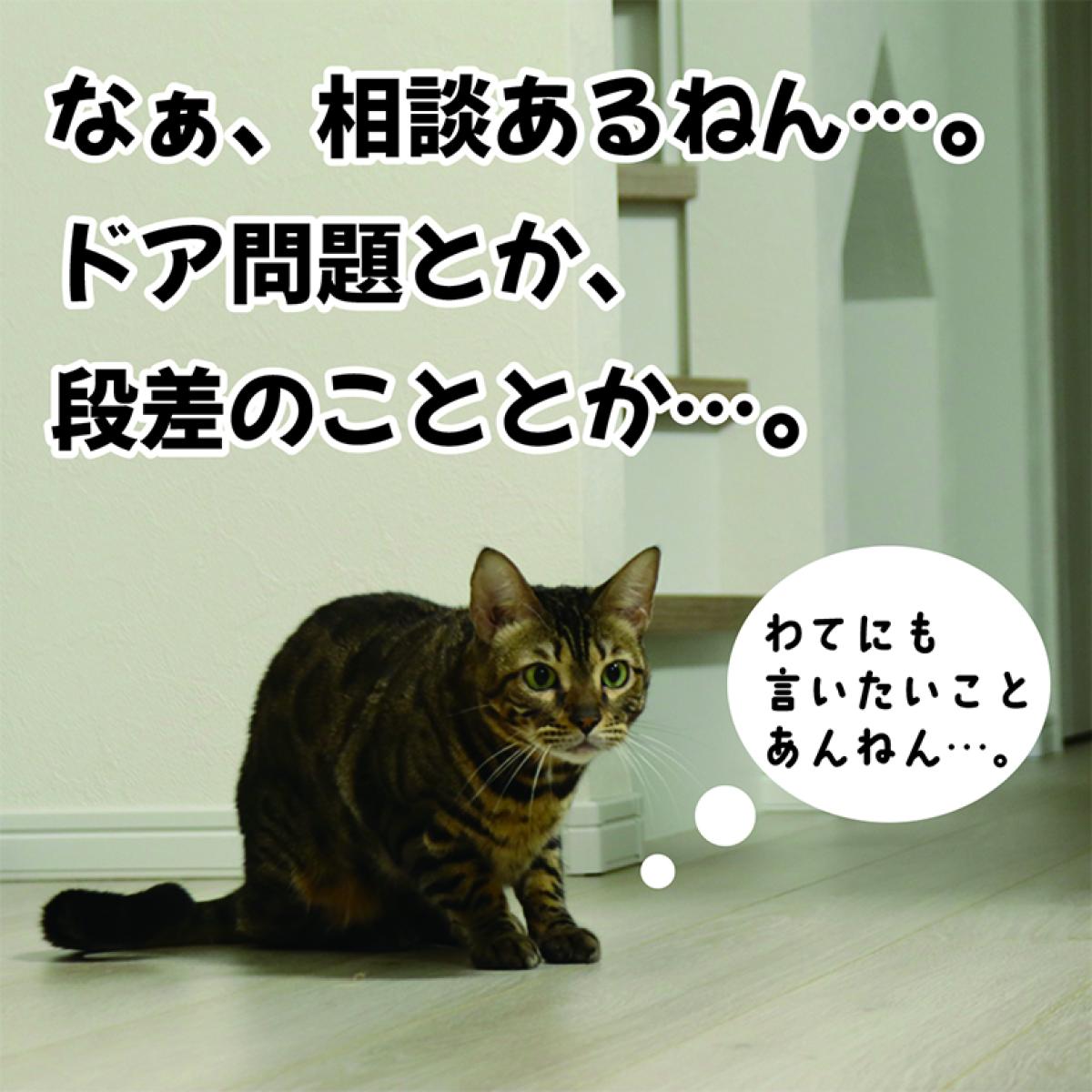 猫がドアを開ける、犬が滑る… 「ペットと暮らす家」に足りなかったこと