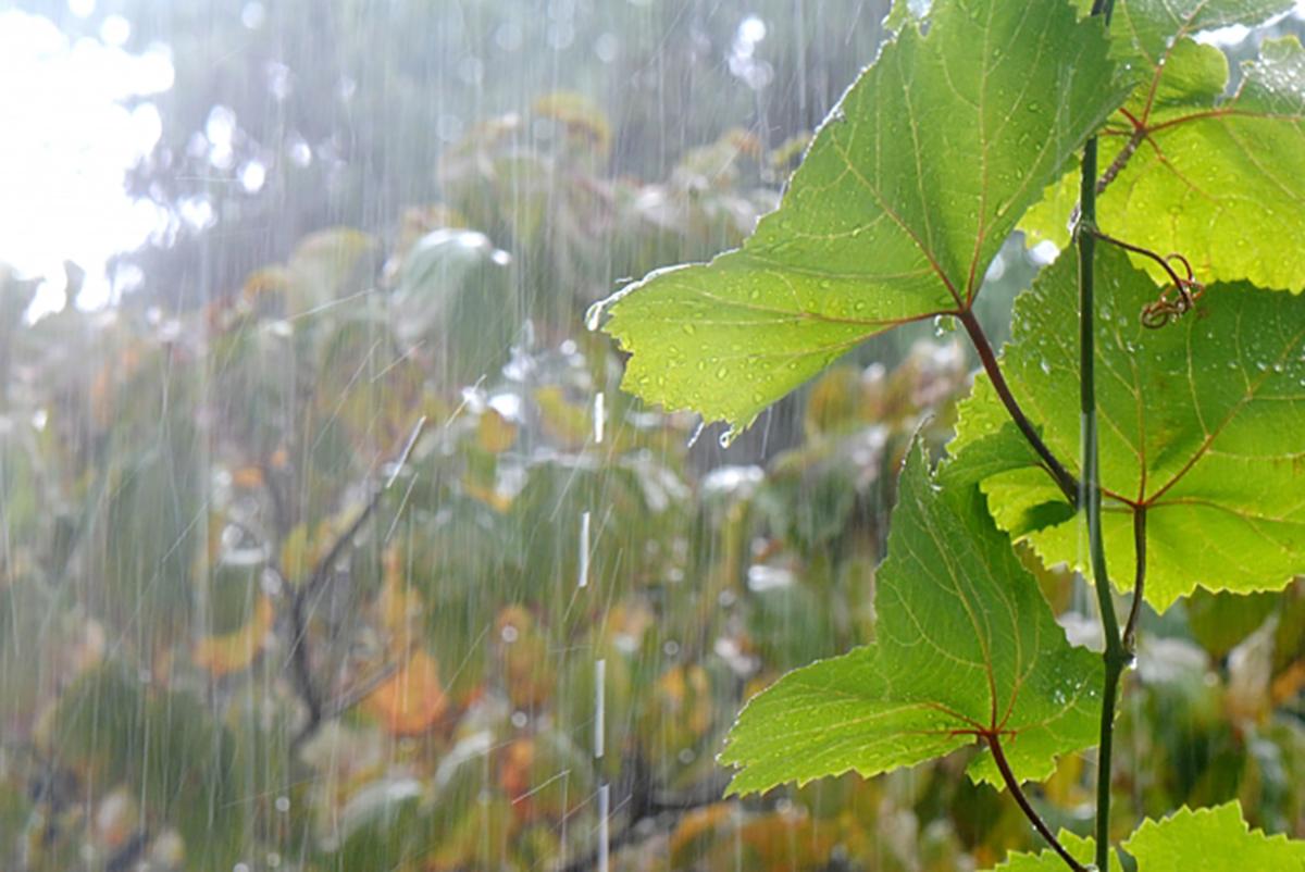 湿気対策で、梅雨時期の身体とおうちの不調を改善！